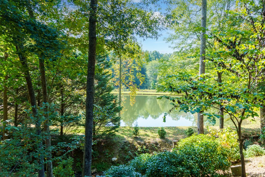 418910 Morganton Residential