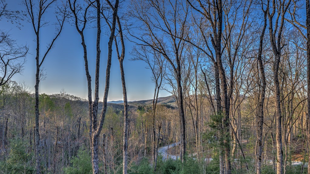 418924 Cherry Log Residential