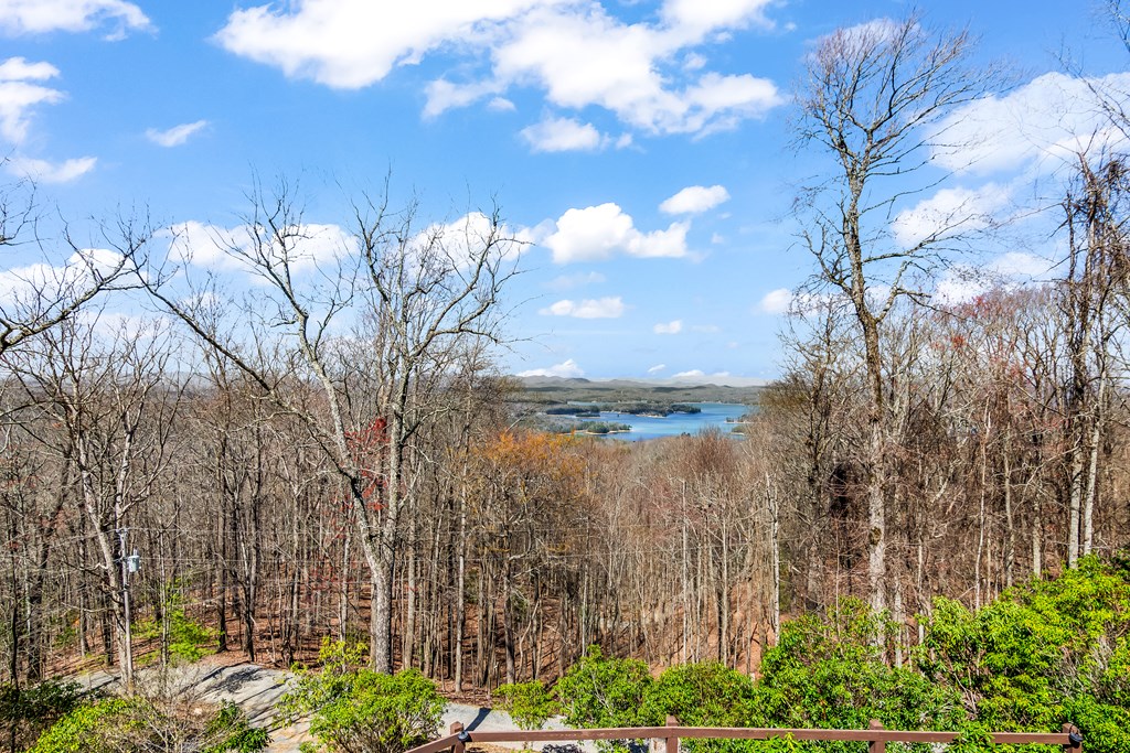 418945 Blue Ridge Residential