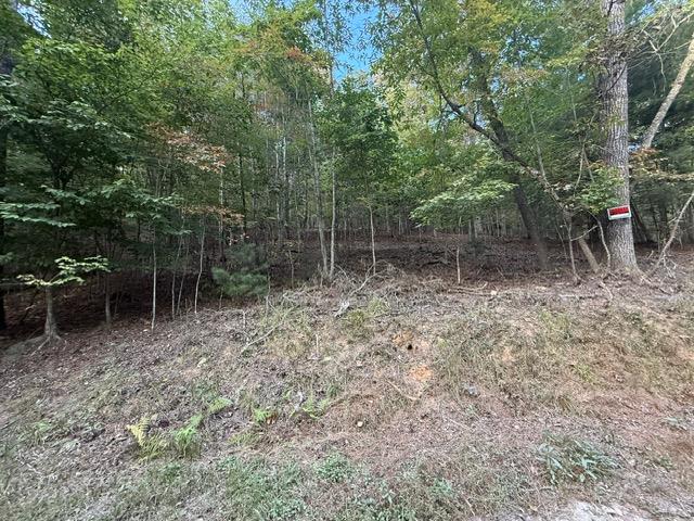 418952 Mineral Bluff 