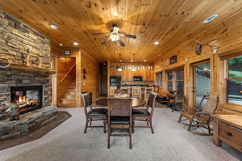 418979 Mineral Bluff Residential