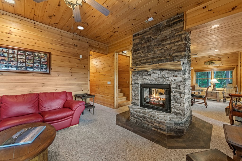 418979 Mineral Bluff Residential