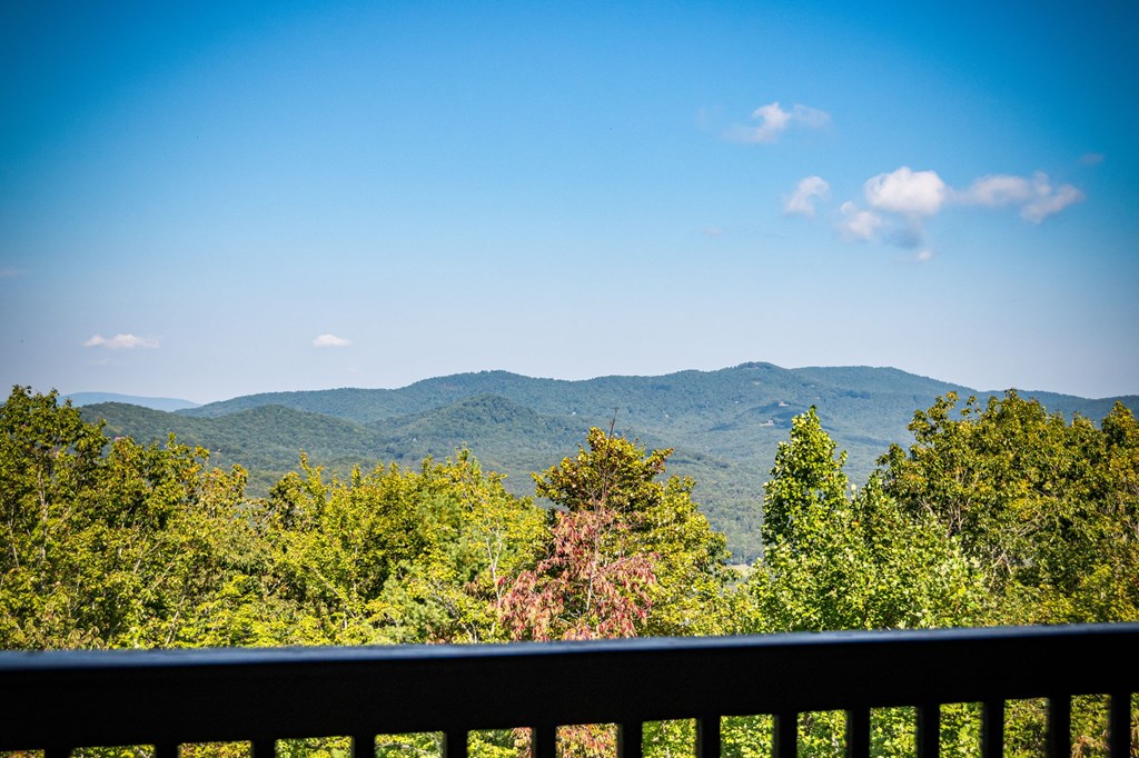418979 Mineral Bluff Residential