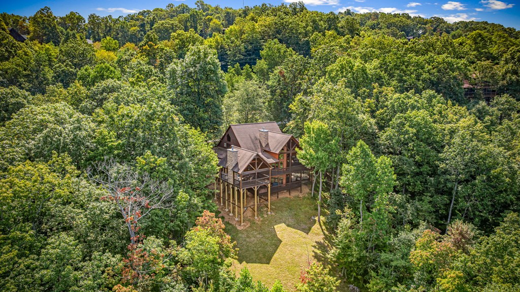 418979 Mineral Bluff Residential
