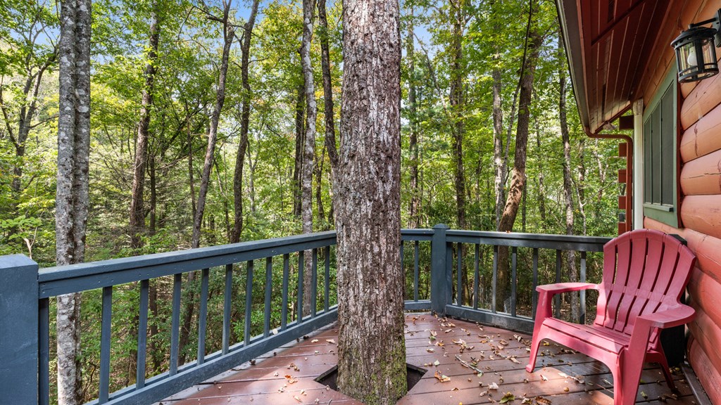 418982 Cherry Log Residential