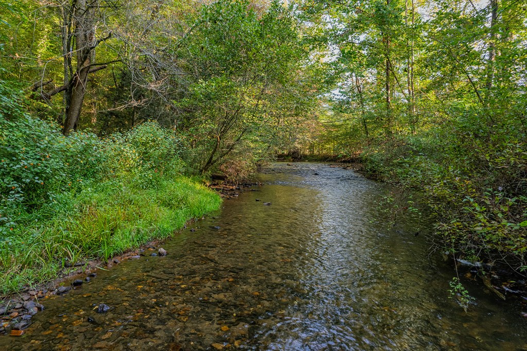 418997 Ellijay Residential