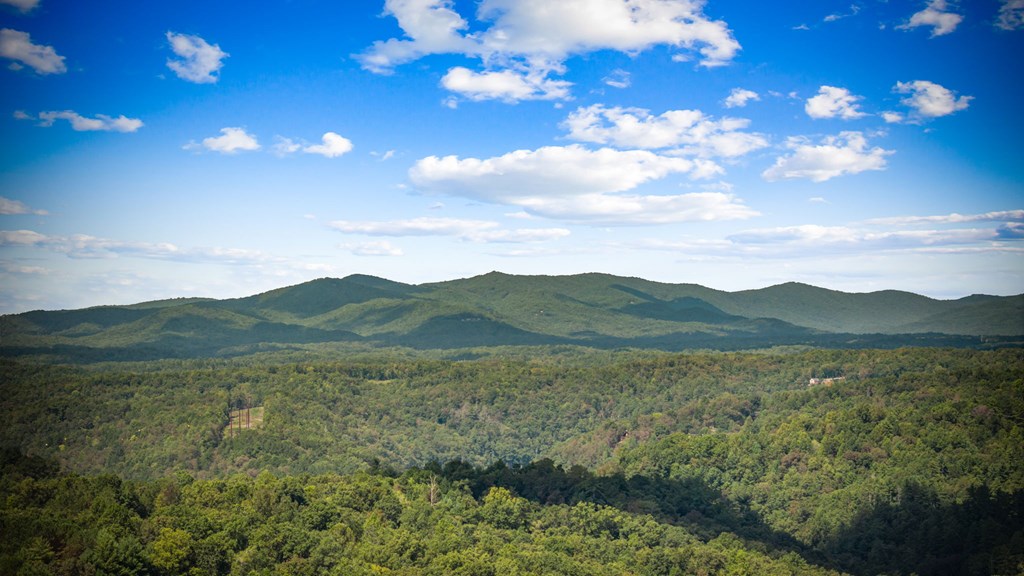 418998 Ellijay Residential