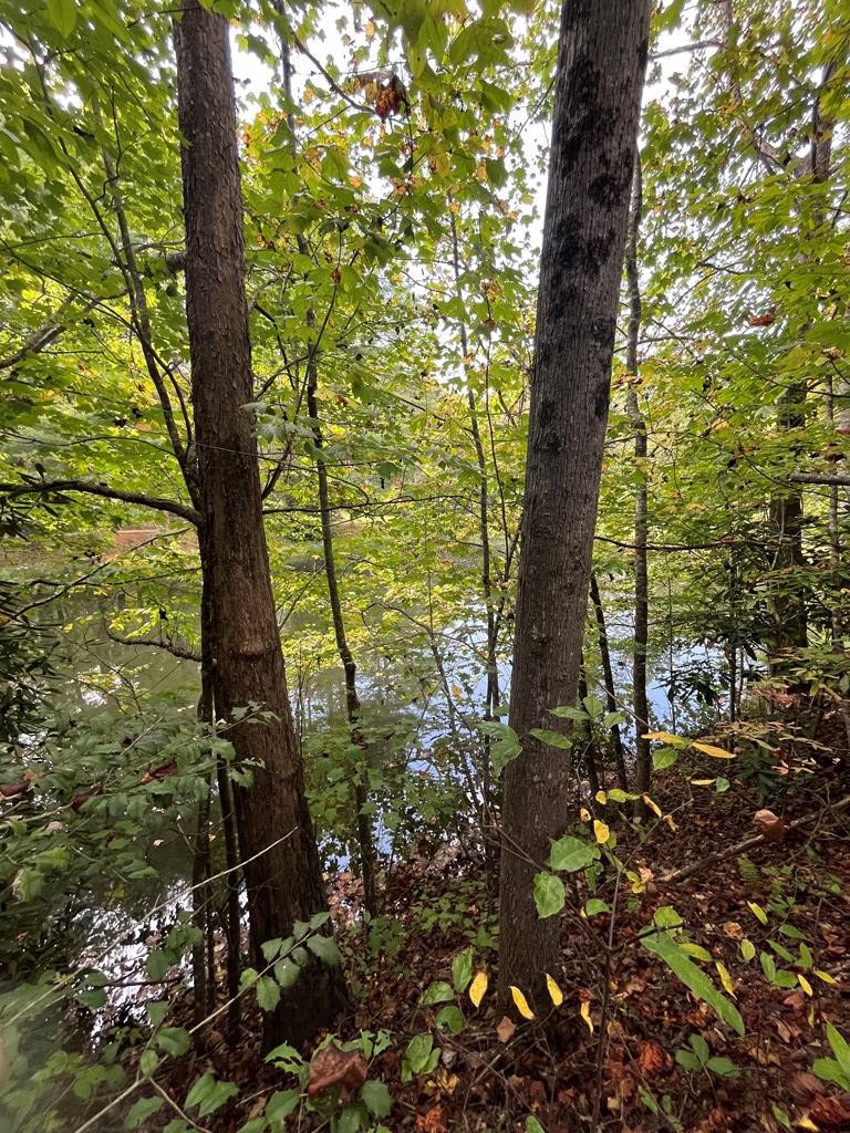 418999 Hiawassee Residential