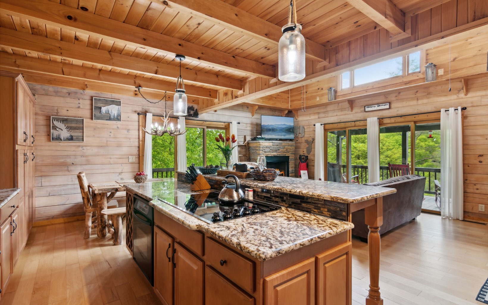419002 Ellijay Residential