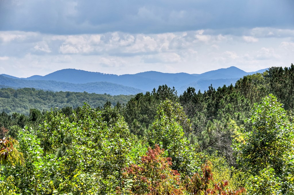 419011 Blue Ridge Residential