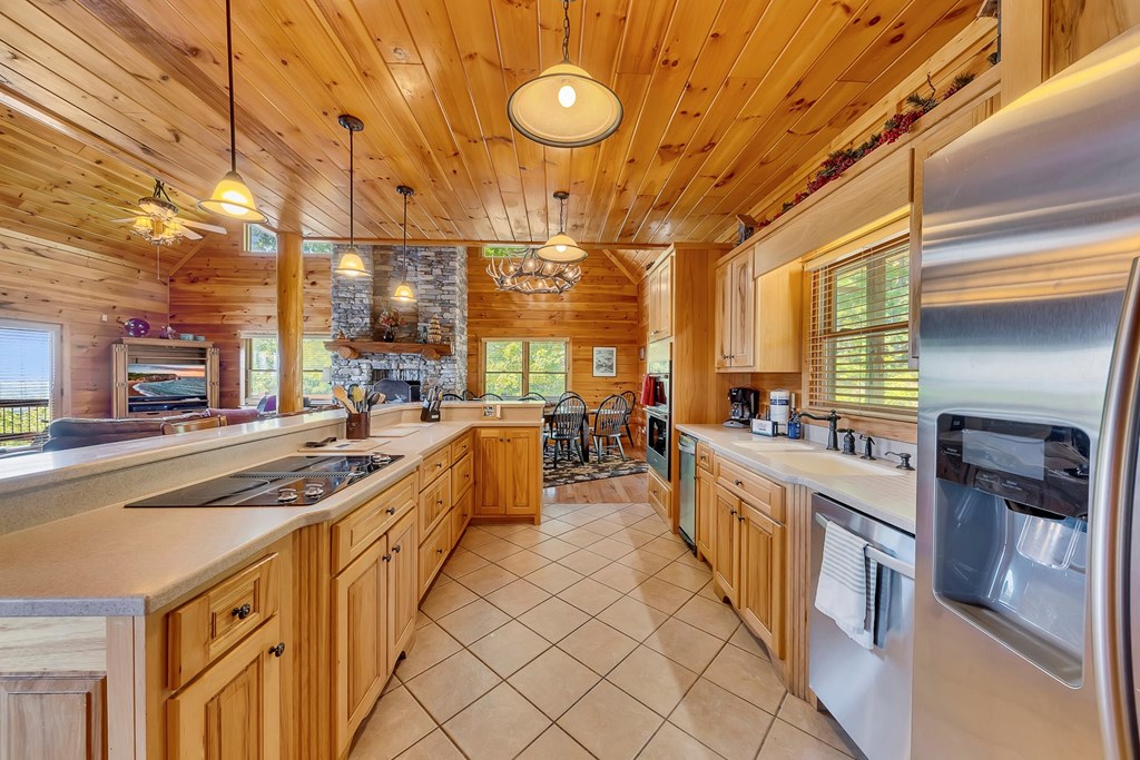 419017 Mineral Bluff Residential