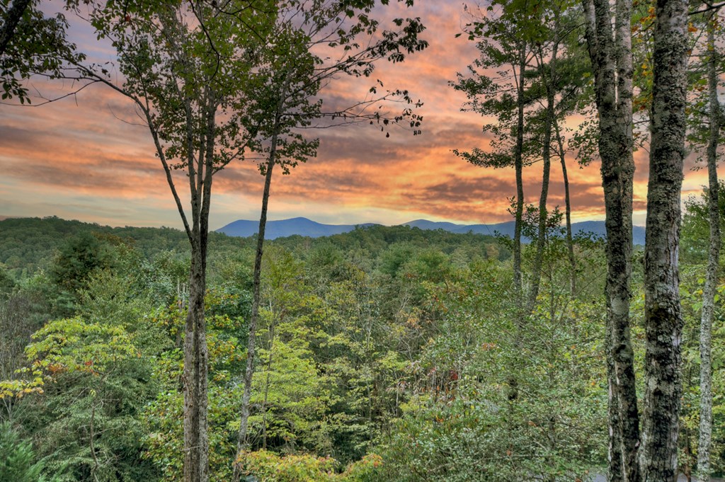 419025 Ellijay Residential