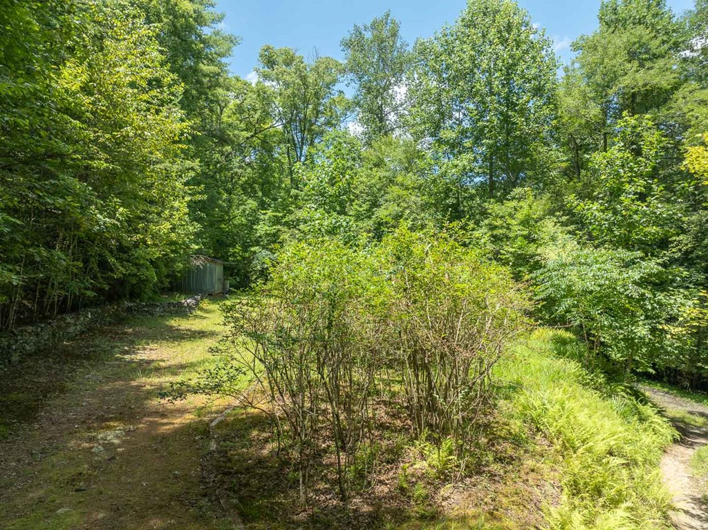 419033 Mineral Bluff Residential