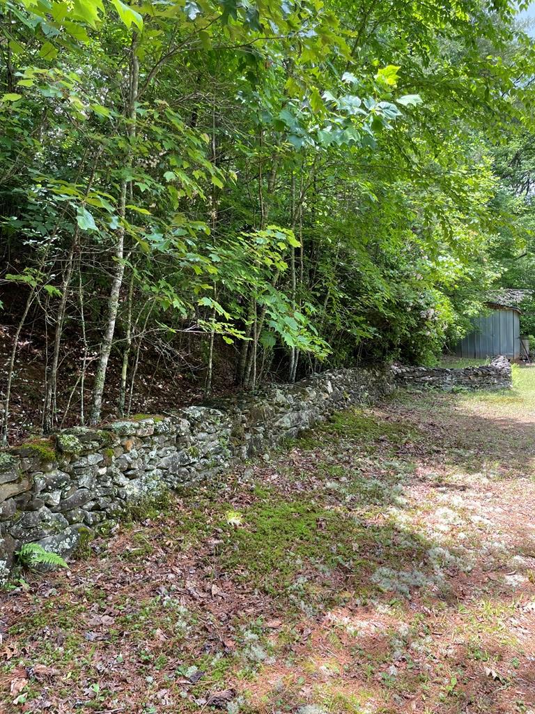 419033 Mineral Bluff Residential