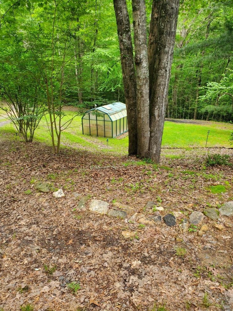 419033 Mineral Bluff Residential