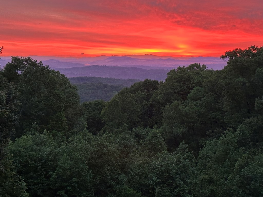 419042 Blue Ridge Residential