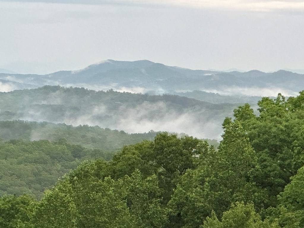 419042 Blue Ridge Residential