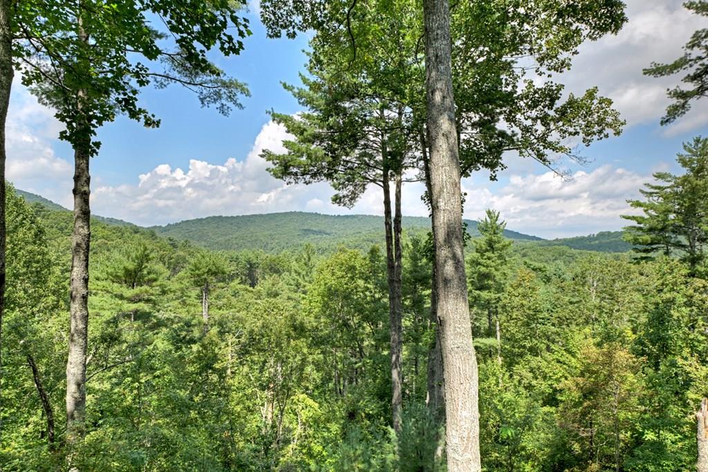 419053 Blue Ridge Residential