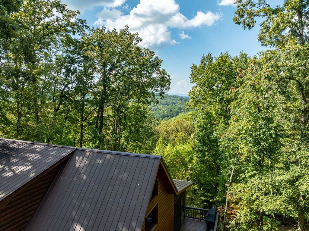 419058 Blue Ridge Residential
