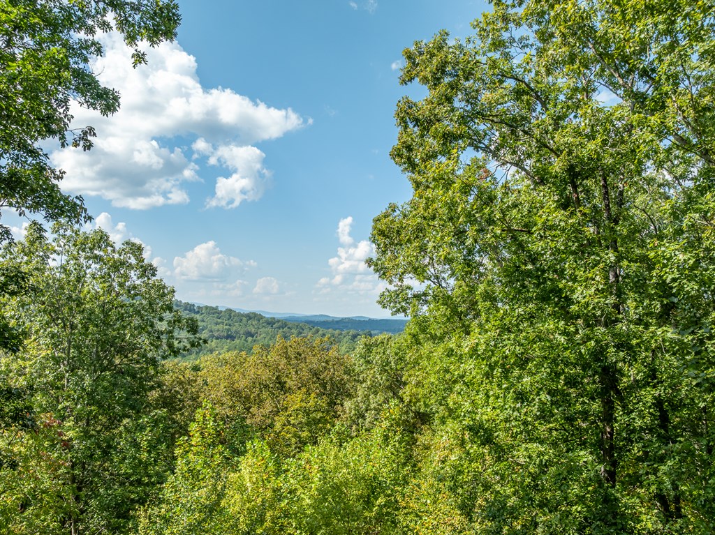 419058 Blue Ridge Residential