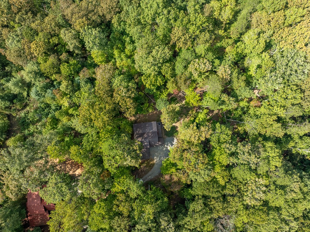 419058 Blue Ridge Residential