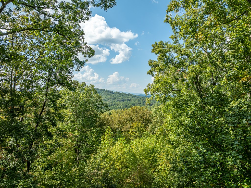 419058 Blue Ridge Residential