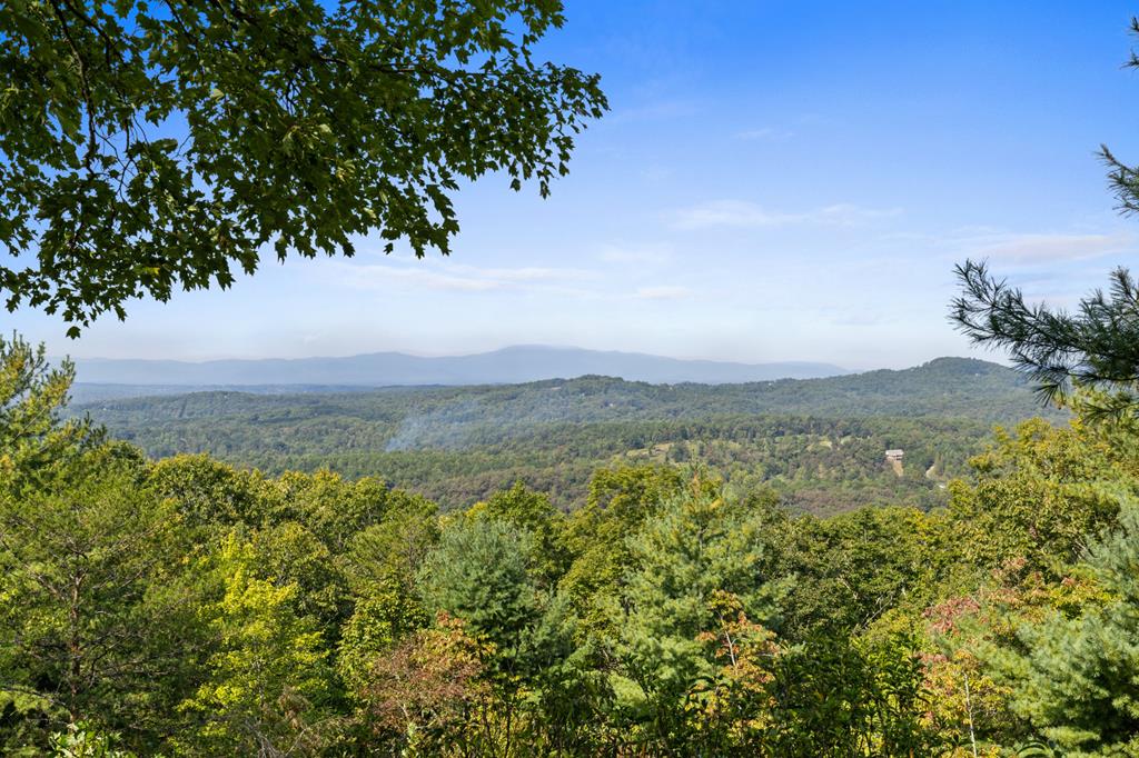 419081 Mineral Bluff Residential