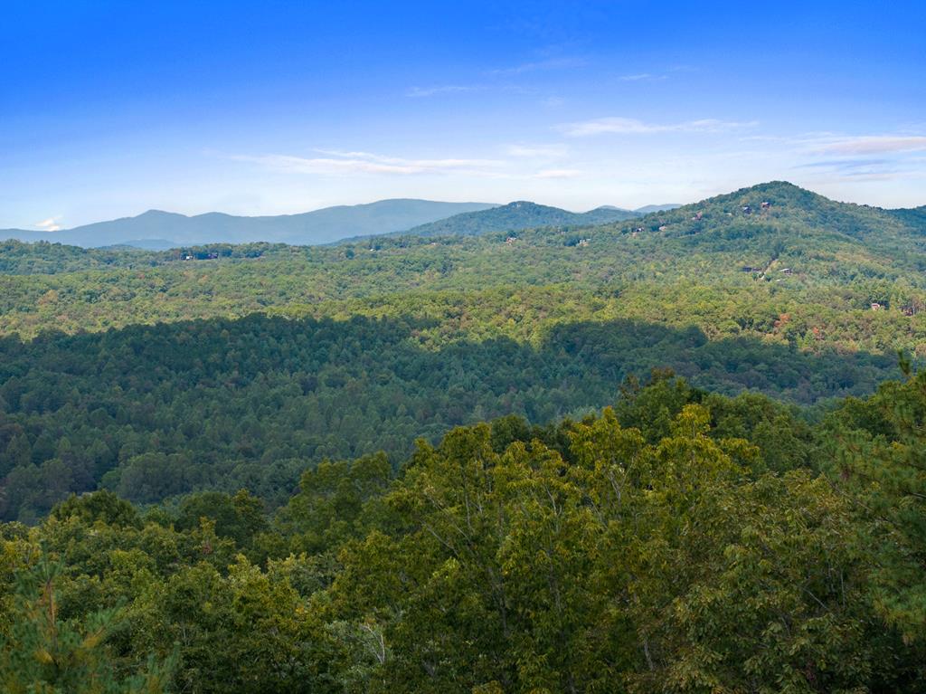 419081 Mineral Bluff Residential
