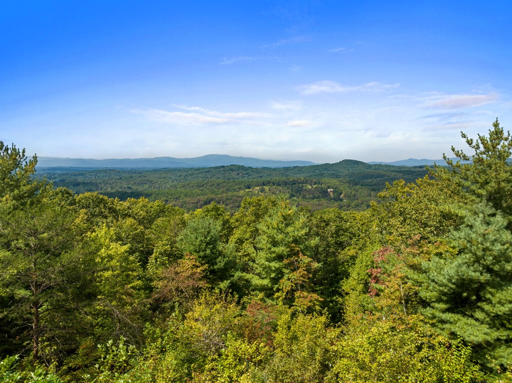 419081 Mineral Bluff Residential