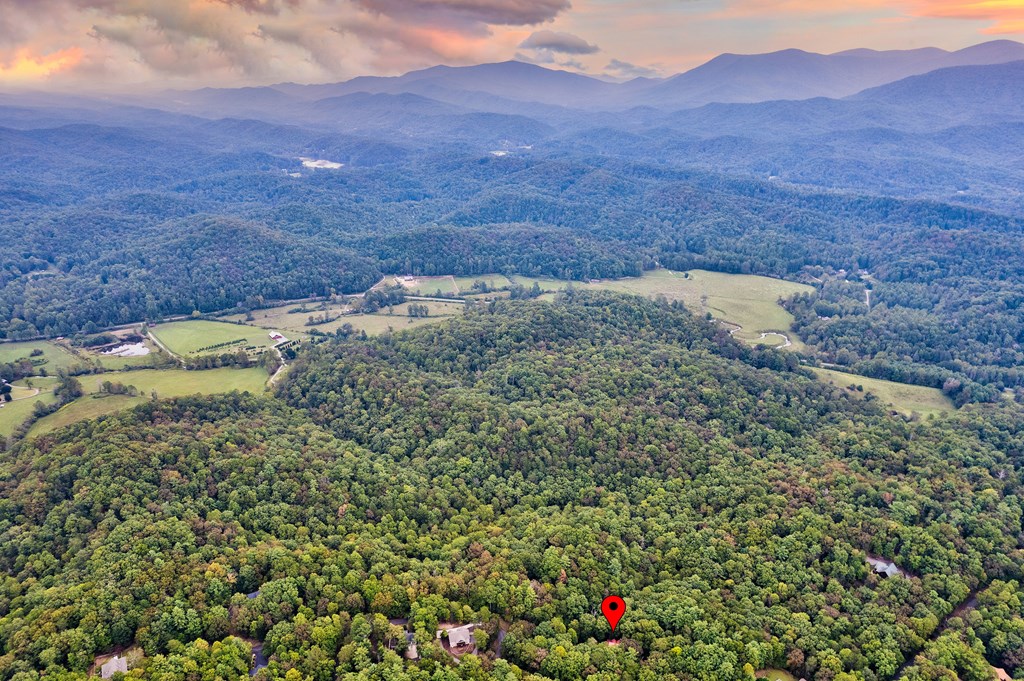 419095 Ellijay Residential