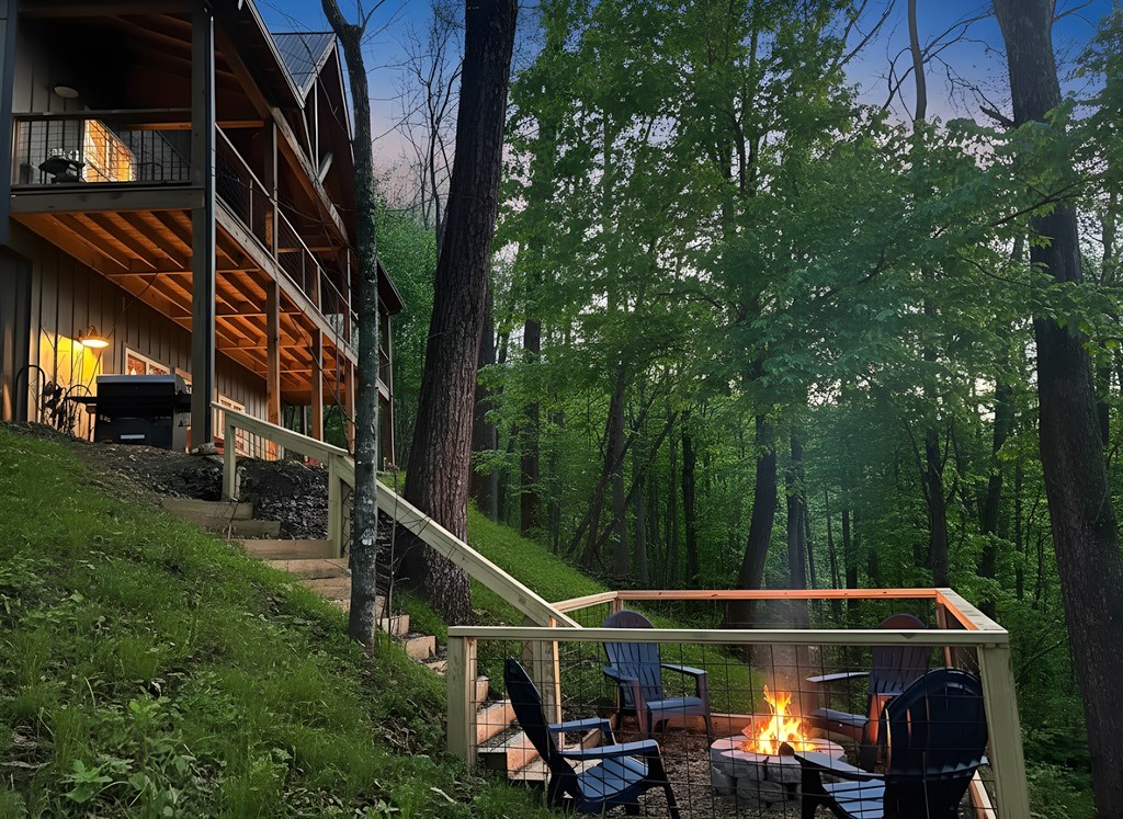 419111 Cherry Log Residential