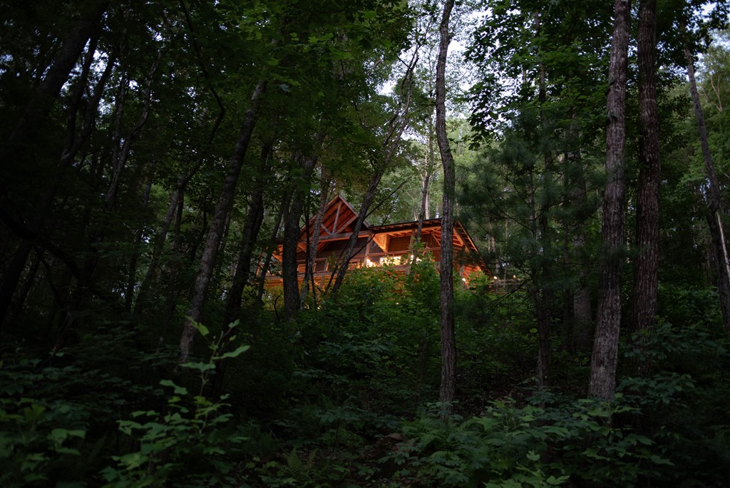 419111 Cherry Log Residential