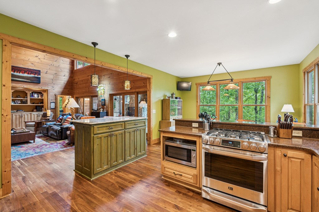 419118 Ellijay Residential