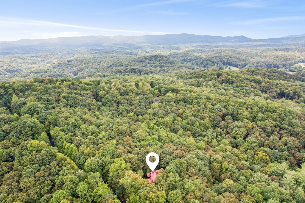 419118 Ellijay Residential
