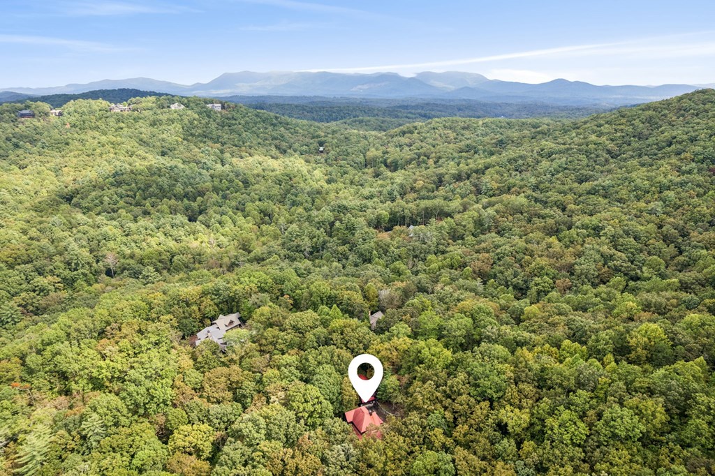 419118 Ellijay Residential