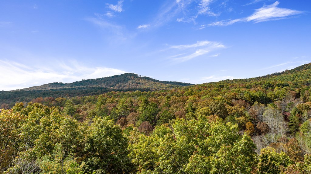 419127 Mineral Bluff Residential