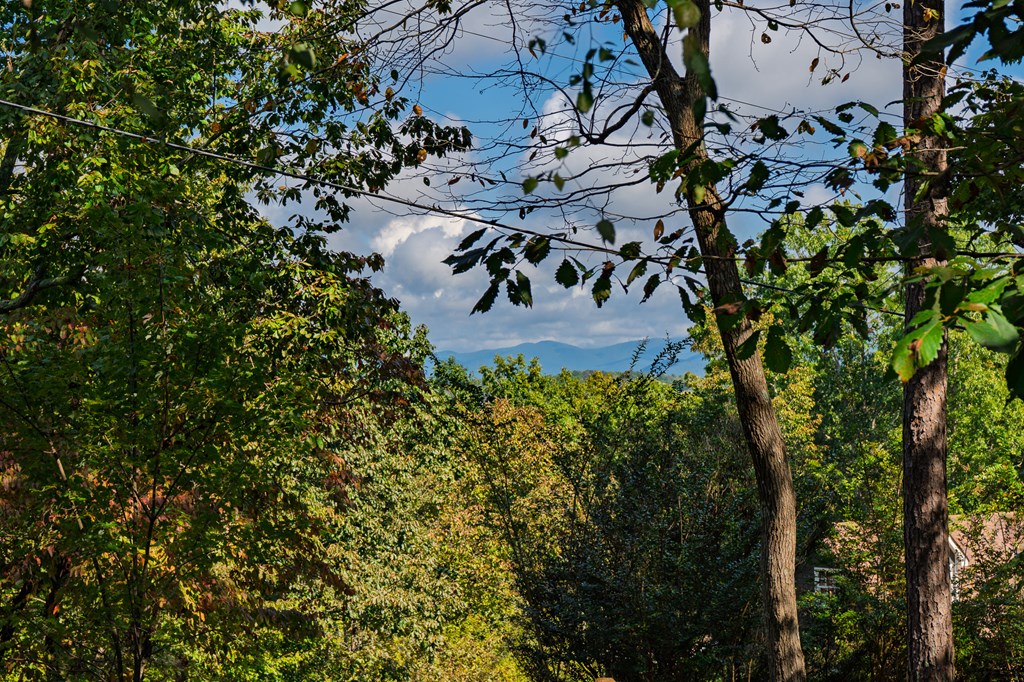 419132 Ellijay Residential