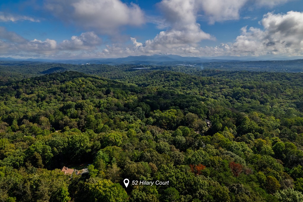 419132 Ellijay Residential