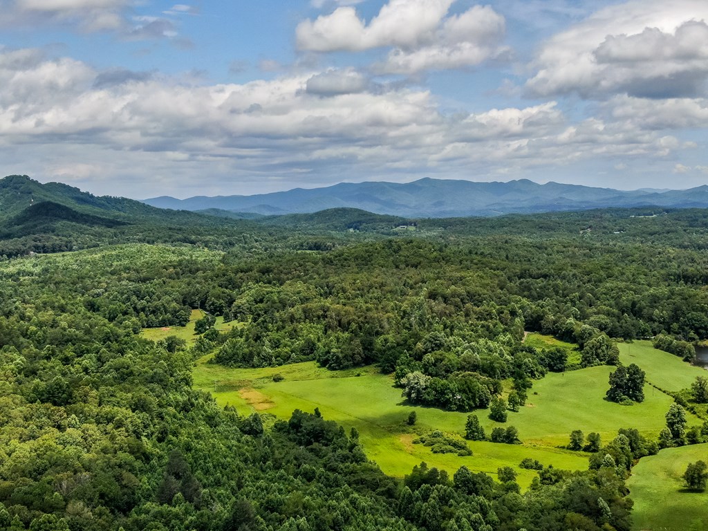 419135 Blue Ridge Residential