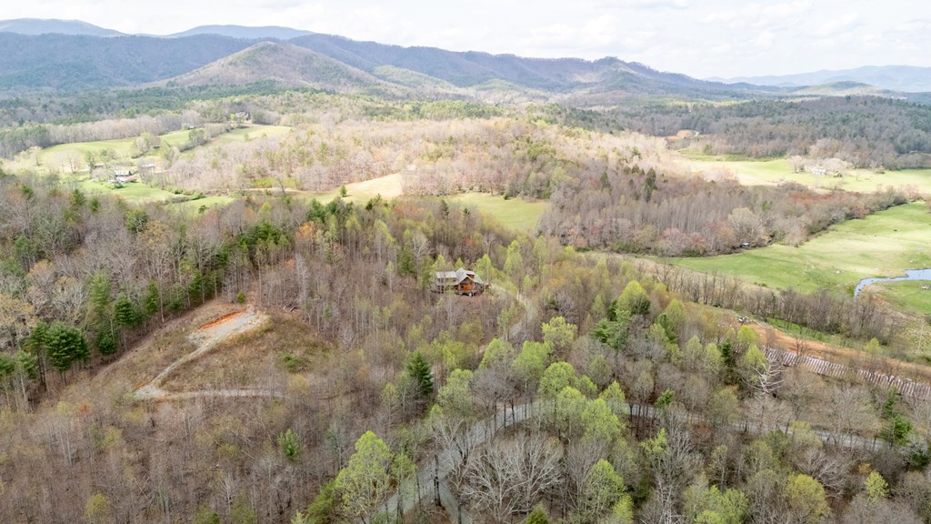 419135 Blue Ridge Residential