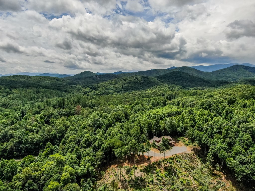 419135 Blue Ridge Residential