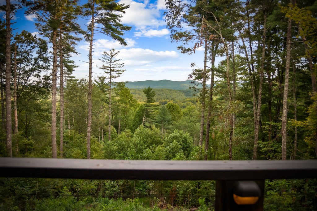 419145 Blue Ridge Residential