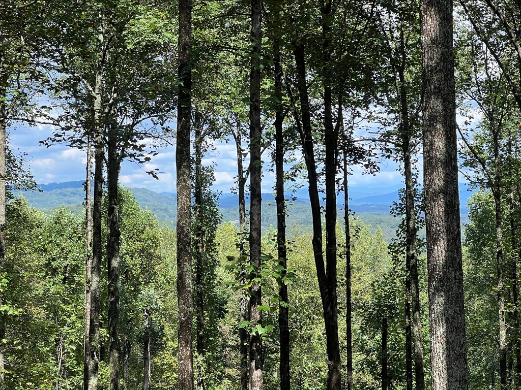 419148 Blue Ridge Residential