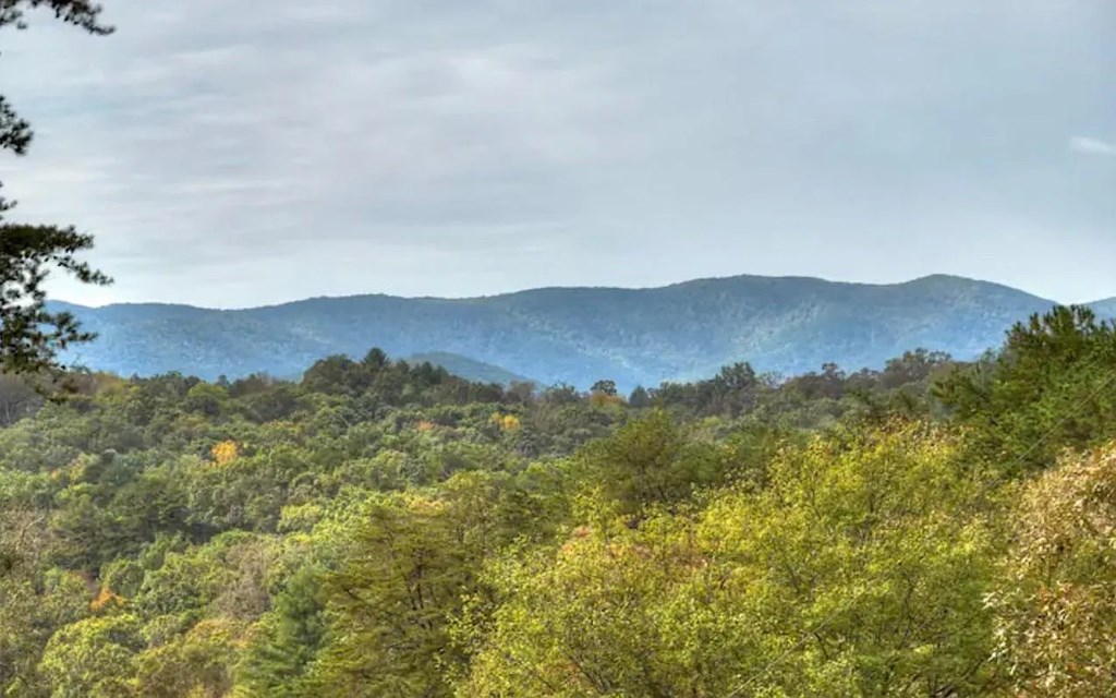 419161 Blue Ridge Residential