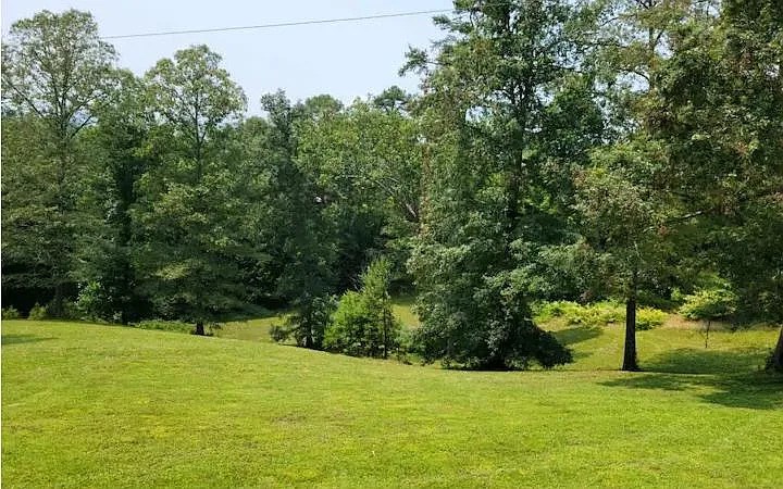 419161 Blue Ridge Residential