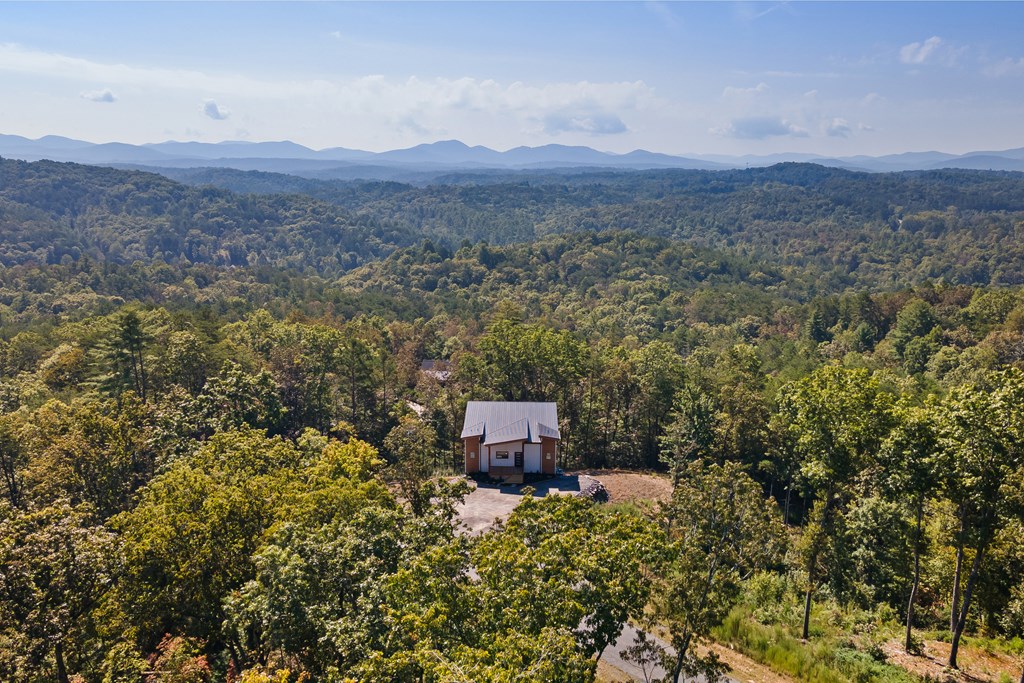 419171 Mineral Bluff Residential