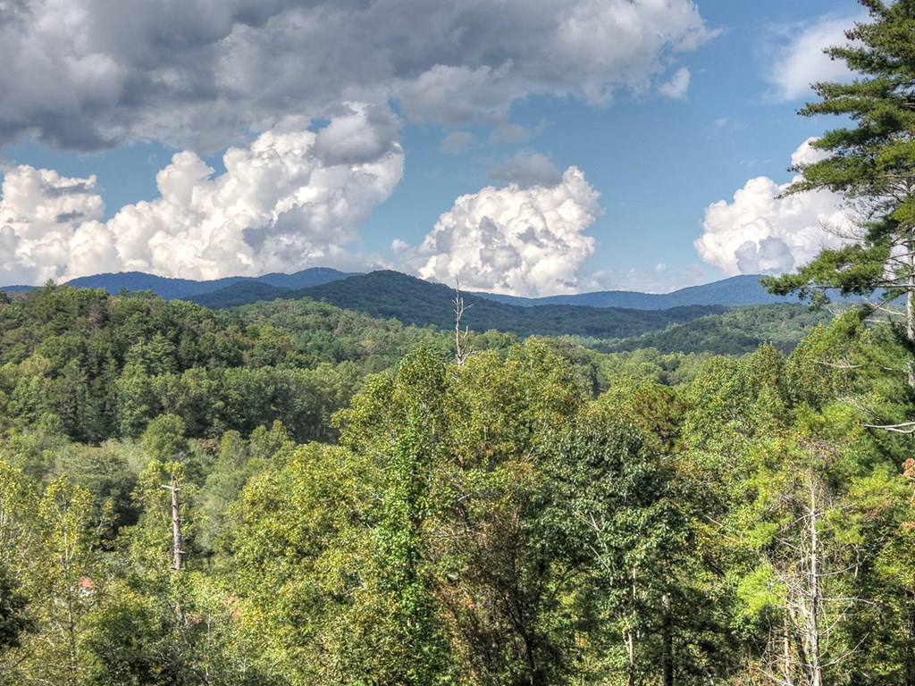 419190 Mineral Bluff Residential