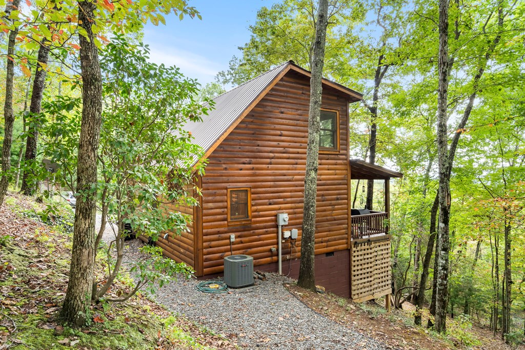 419203 Murphy Residential