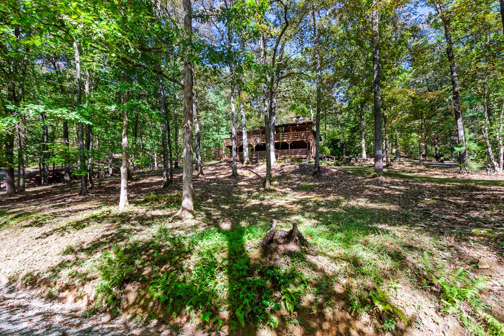 419223 Murphy Residential