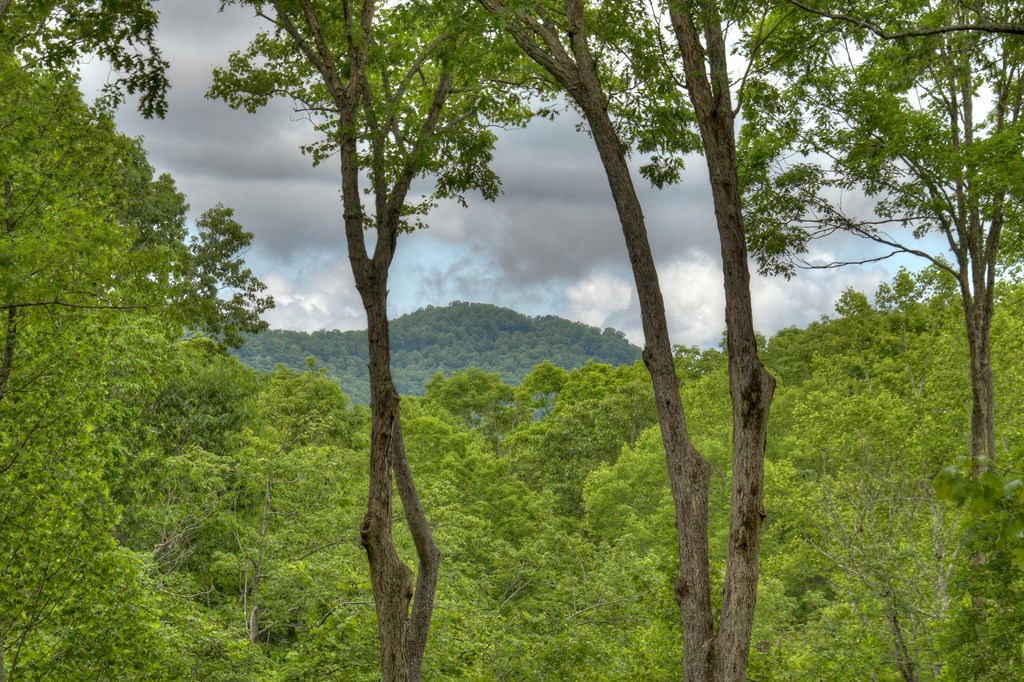 419228 Ellijay Residential